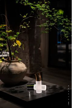 摩根全屋智能打造照明新体验EVO视讯十大智能家居品牌(图4)